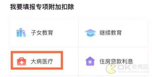 个人所得税大病医疗专项附加扣除怎么填写