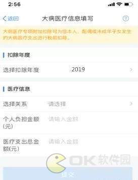 个人所得税大病医疗专项附加扣除怎么填写