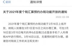 个税app上怎么看是退税还是补税